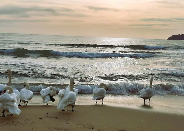 Apartment оазис 2 във